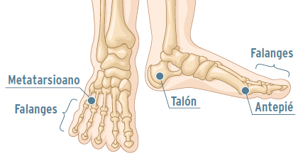 dolor antepie